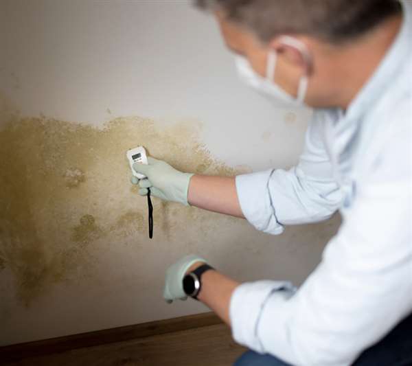 Copyright2026 Damp Proofing Lancashire 