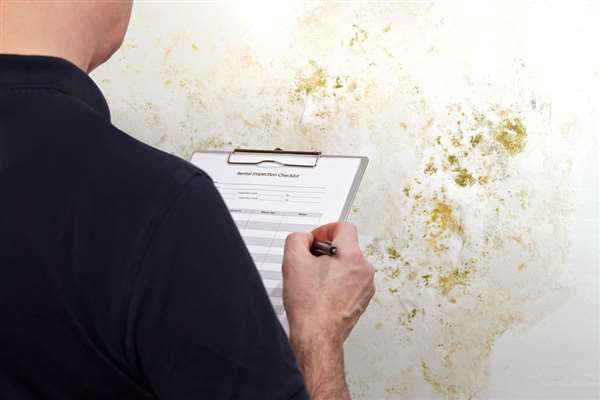 Copyright2026 Damp Proofing Lancashire 