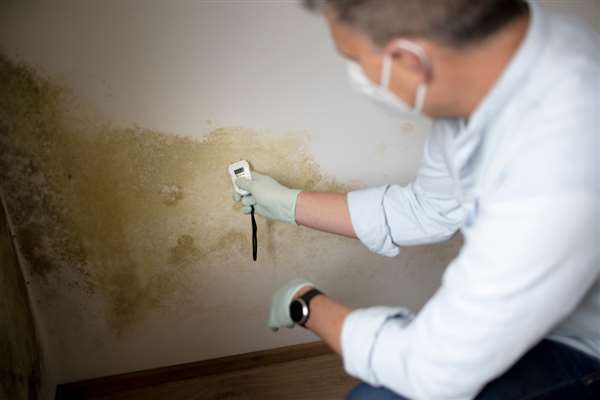Copyright2026 Damp Proofing Lancashire 