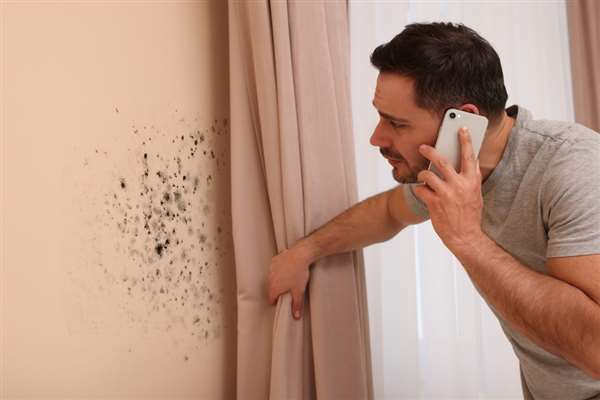 Copyright2026 Damp Proofing Lancashire 