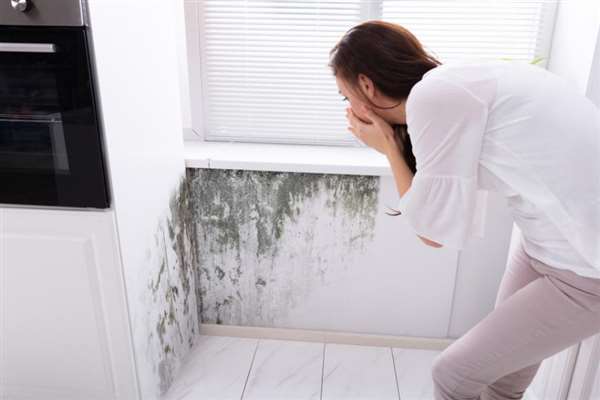 Understanding What Causes Condensation in Preston Homes