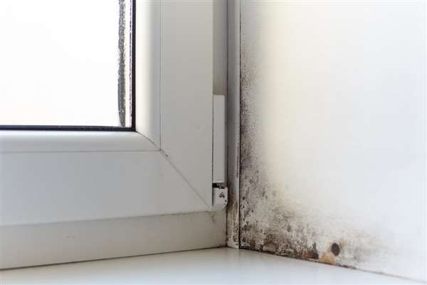 Copyright2026 Damp Proofing Lancashire 