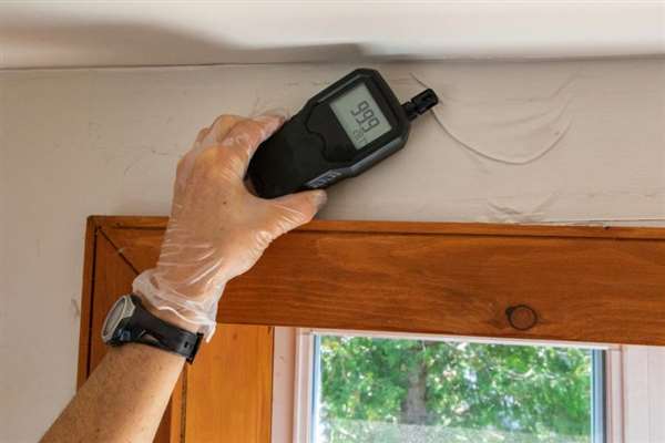 The Hidden Dangers of Damp and Condensation: Why You Can't Afford to Ignore Them